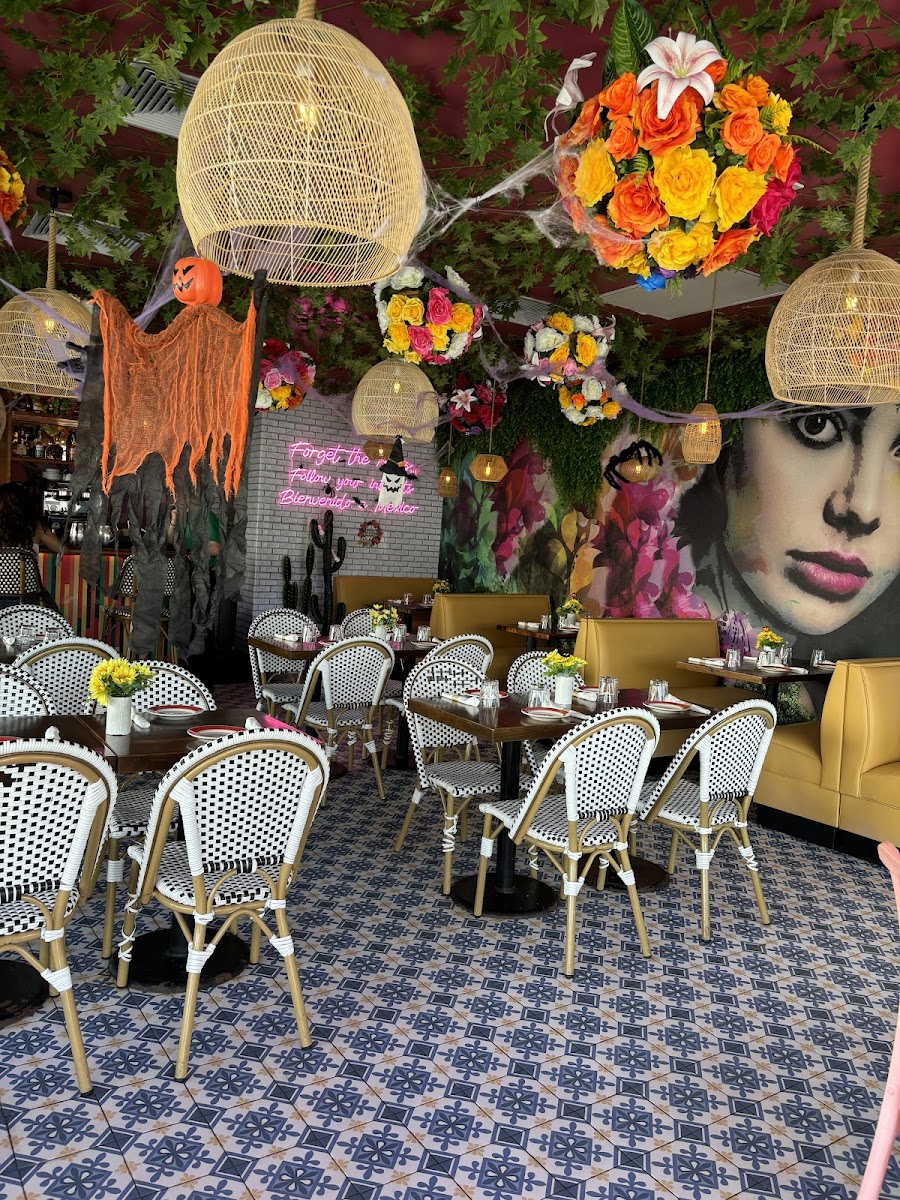 Slide Background Image